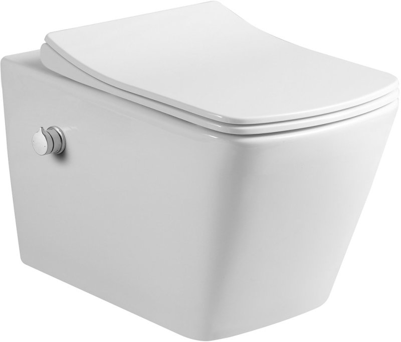 Подвесной унитаз Amore di Mare Garda Bidet P310X с функцией биде